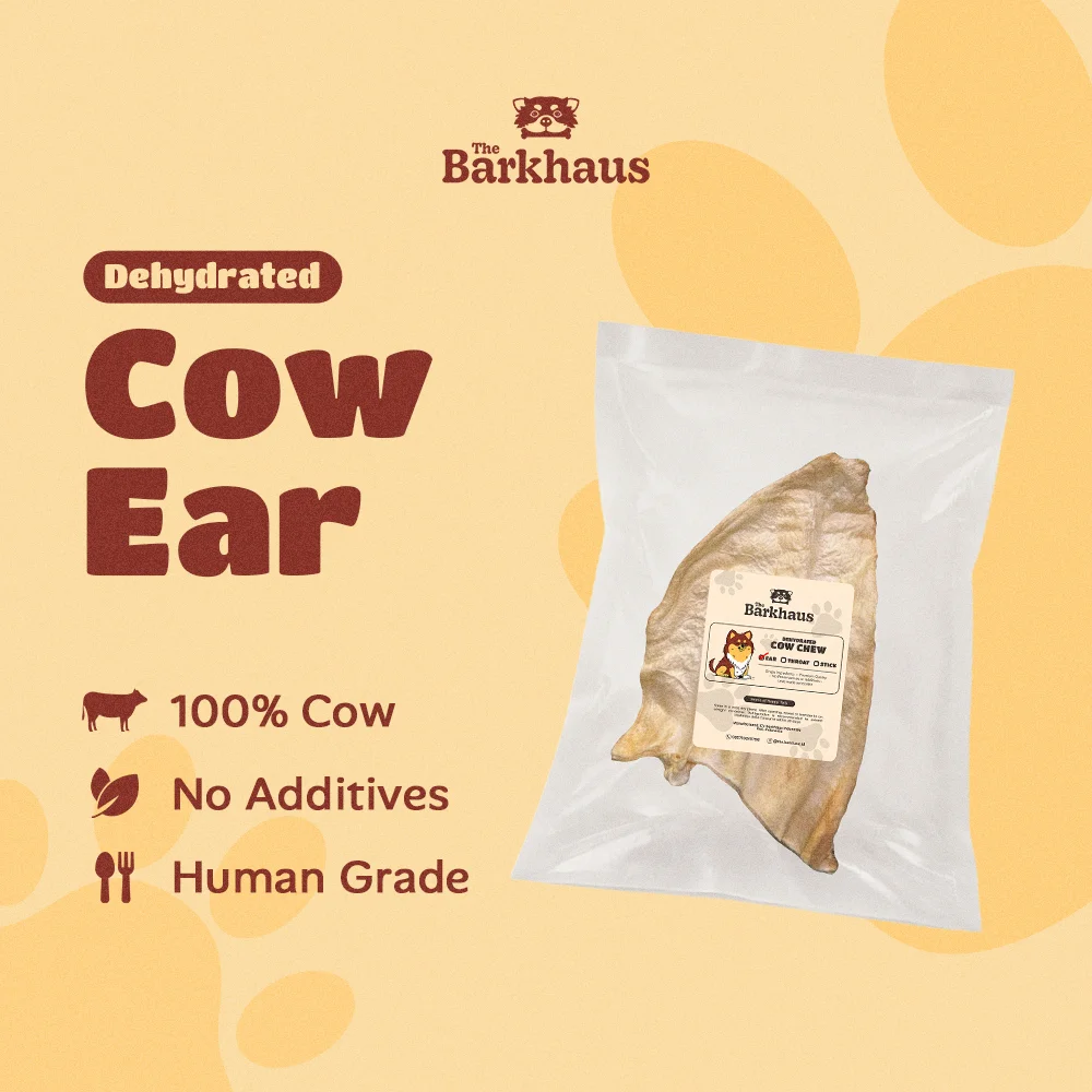 THE BARKHAUS - Dehydrated Cow Ear - 100% Kuping Sapi - Snack Anjing