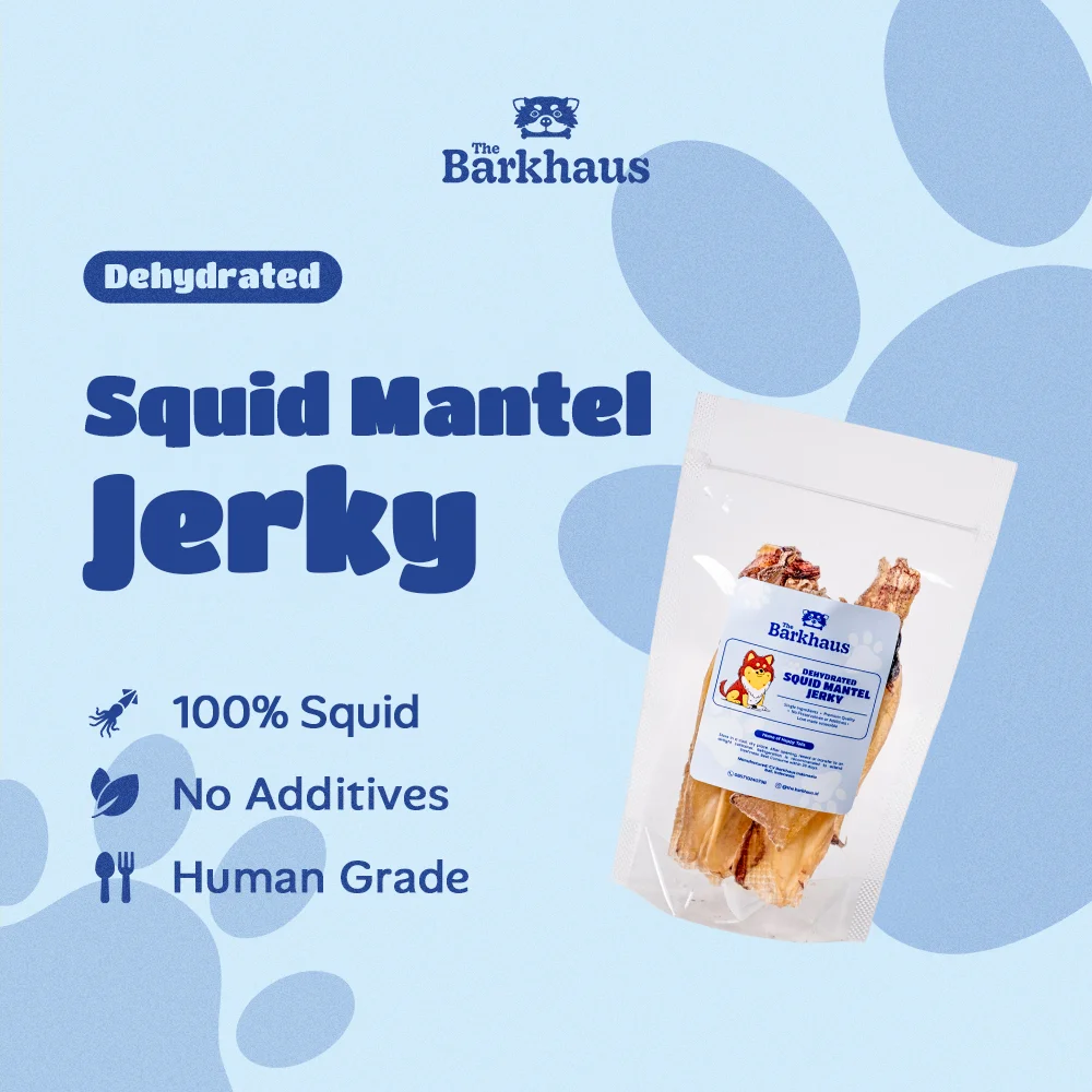 THE BARKHAUS - Dehydrated Squid Mantel Jerky - 100% Daging Cumi (10pcs) Snack Anjing & Kucing